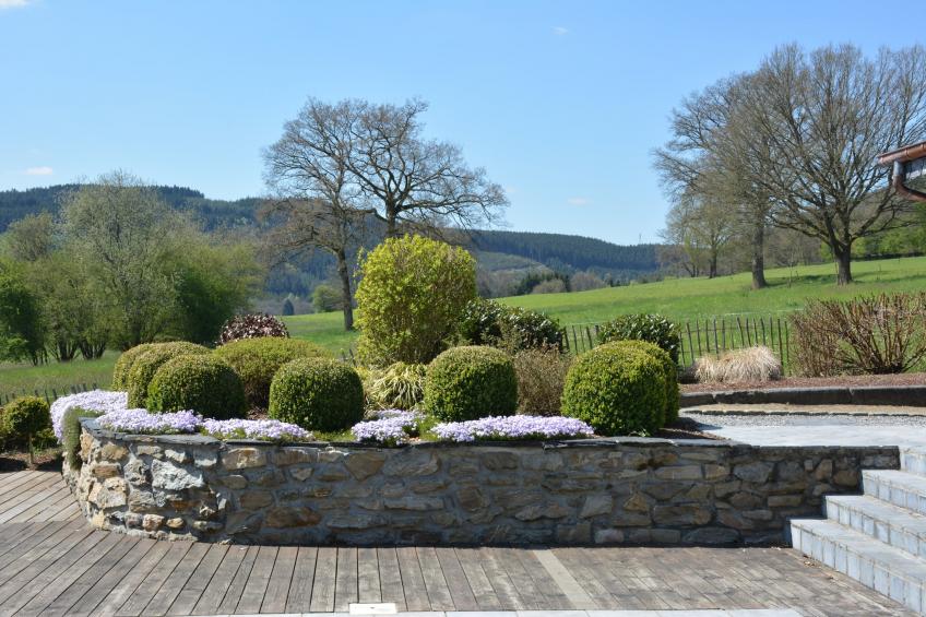 Spineux - foto 31