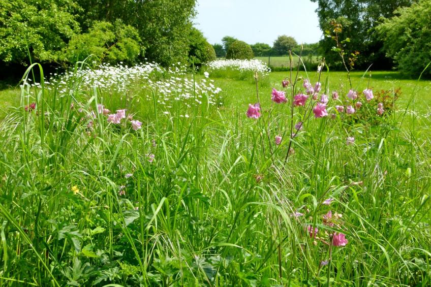 Finkenbusch - foto 24