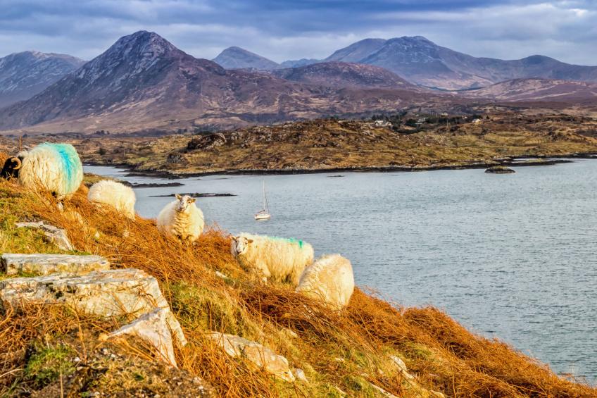 Galway Bay (TR4)Lodge - foto 7