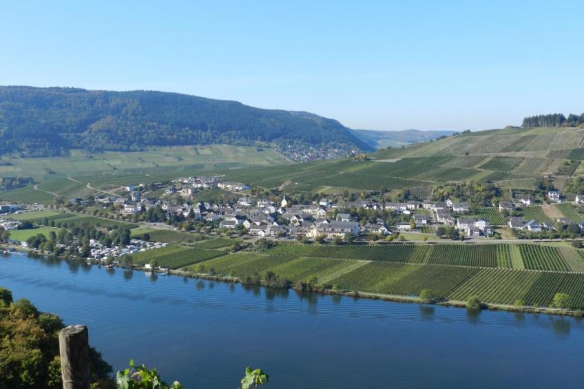 Schöne Ferienwohnung mit Terrasse und Moselblick - foto 3