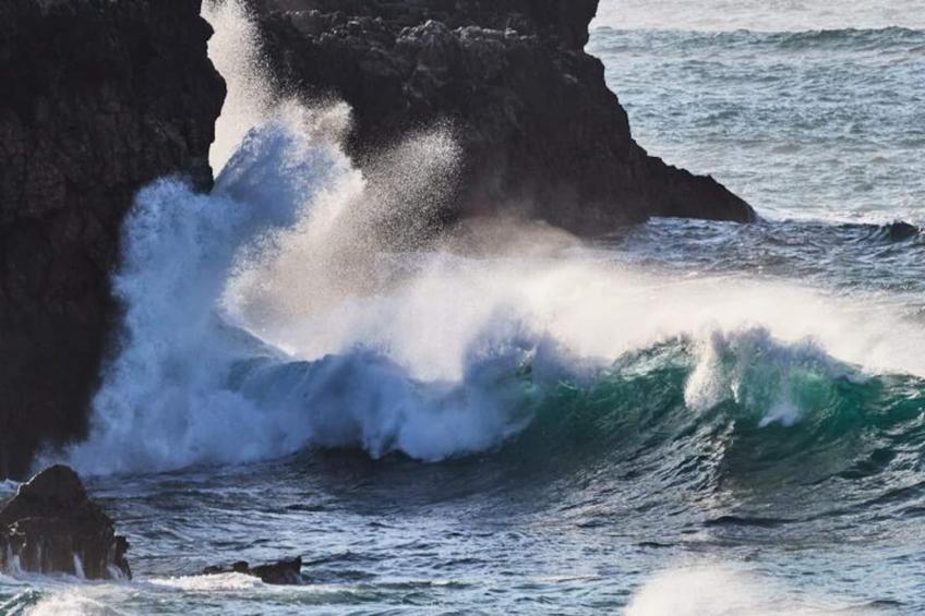 The Lemon Lodge - Tikka Suite - foto 29