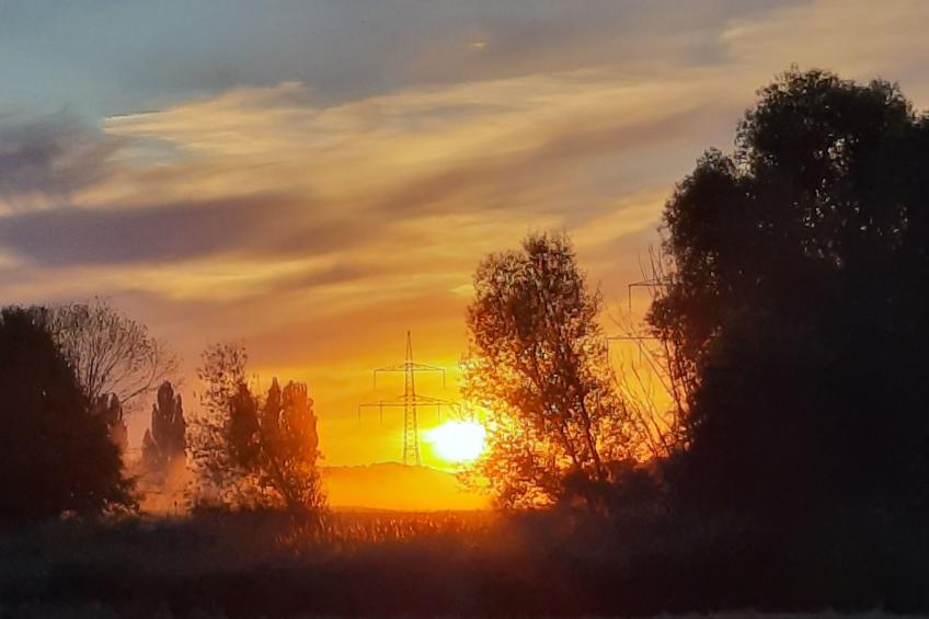 in Viereth mit Garten und Terrasse - foto 22