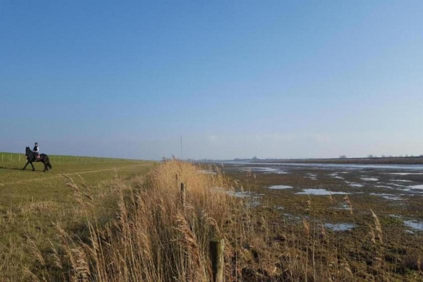 Standaard 211 - foto 16