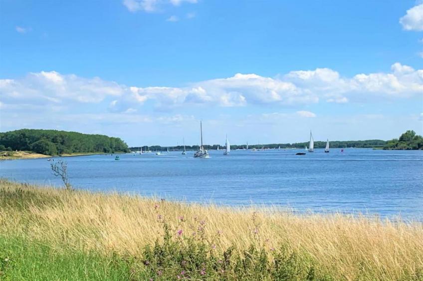 Oostkapelseweg 32 -Serooskerke - Ooievaar - foto 37