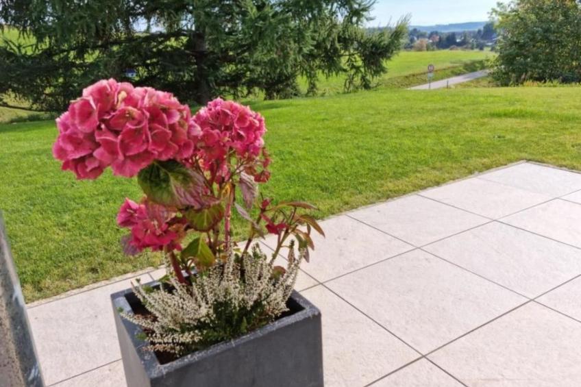 Luxus-Appartement in Kappel - foto 42