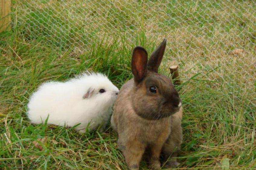 mit zwei Schlafzimmern und Balkon - foto 30