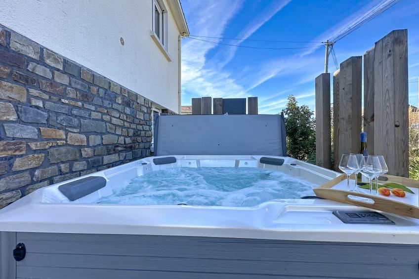 Le Terrier Préfaillais, Jacuzzi - foto 28
