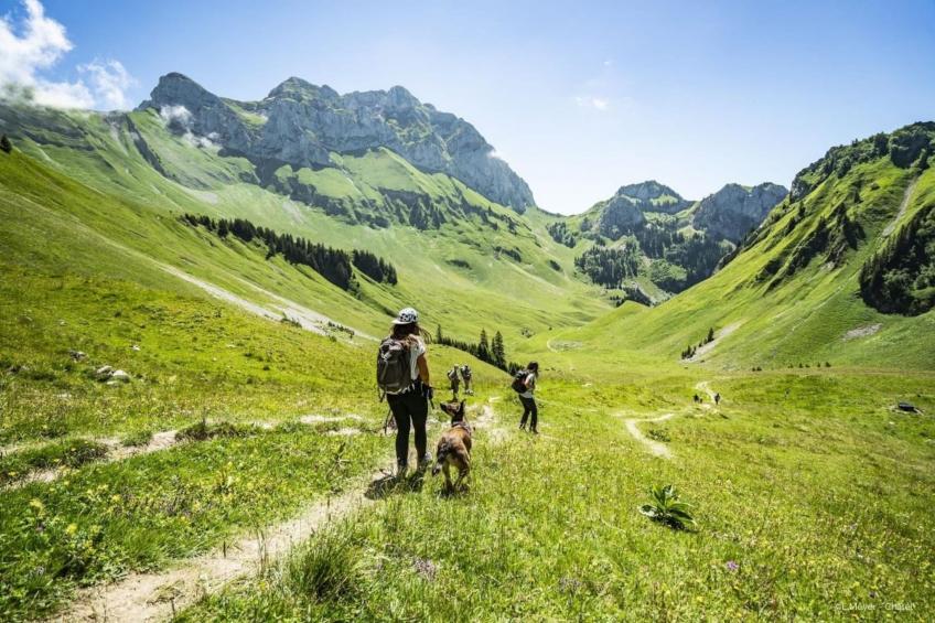 Biches BIB31 MOUNTAIN & QUIET 4 Pers. - foto 4