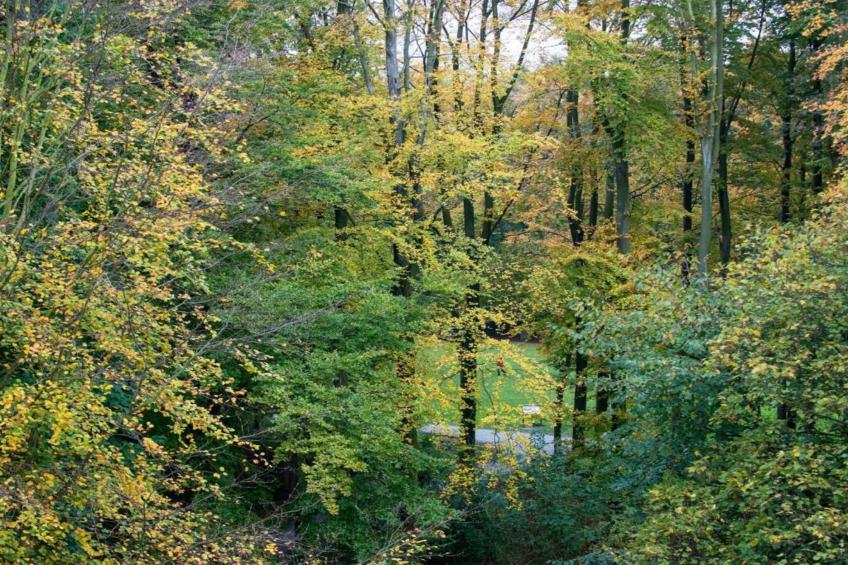 Noordzee Resort Largo City - foto 35