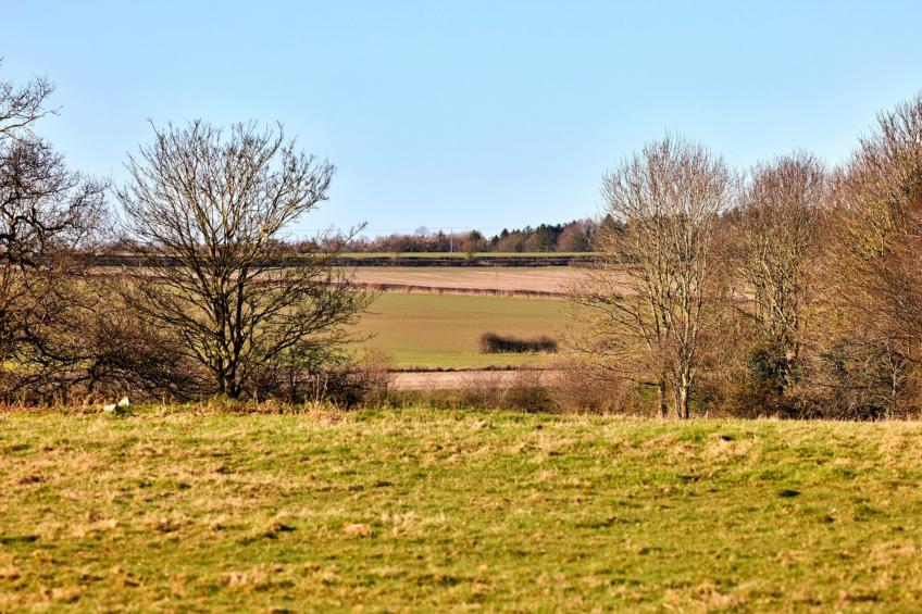 Longwool View - foto 17