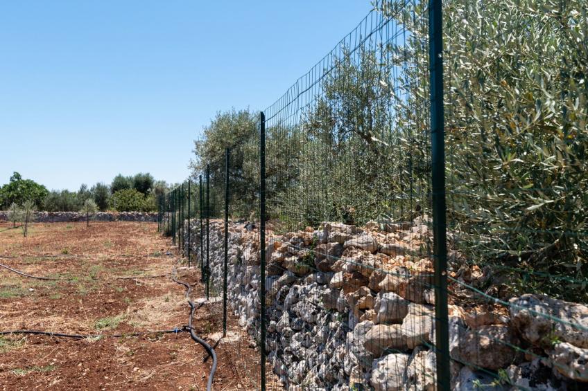 Villa Gioena mit Pool - foto 37