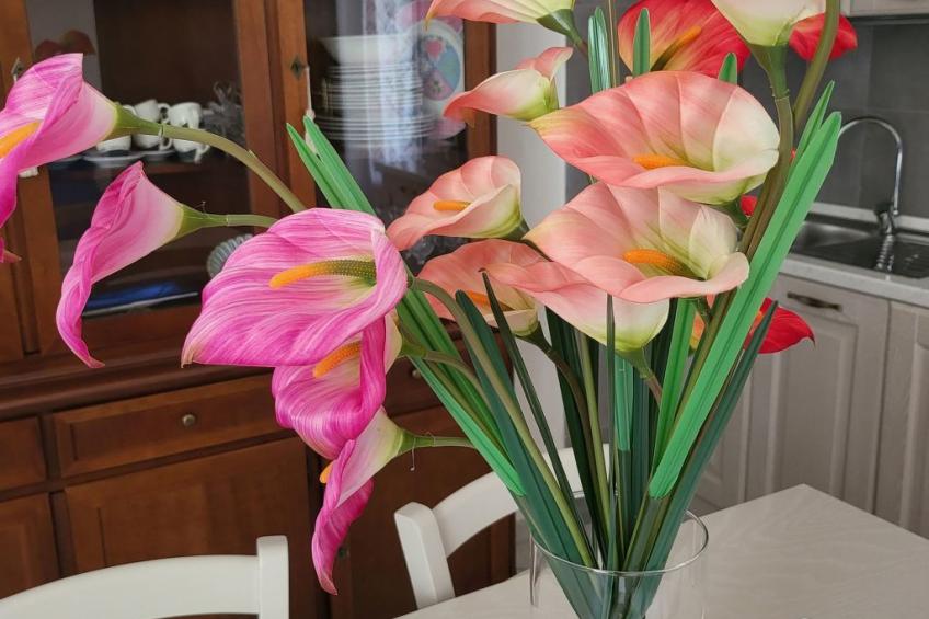 Wohnung "Red Fox" mit privatem Garten - foto 9