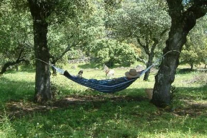 Das Cortijo auf der Finca al-manzil - foto 17