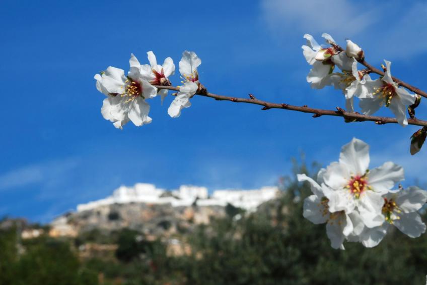 mit Terrasse - foto 45
