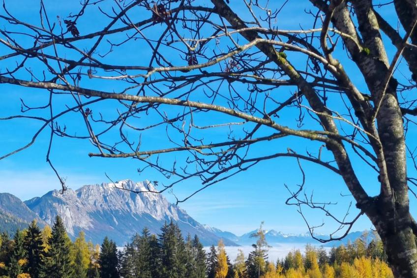 Kulmer Hof - foto 29