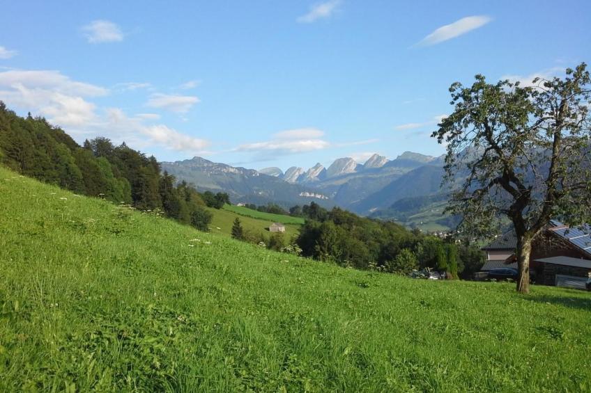Hof Unterstein - foto 12