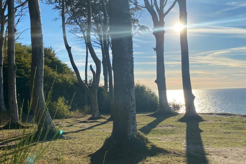 Charmantes Ferienhaus in Dębina mit Offenem Kamin - foto 10