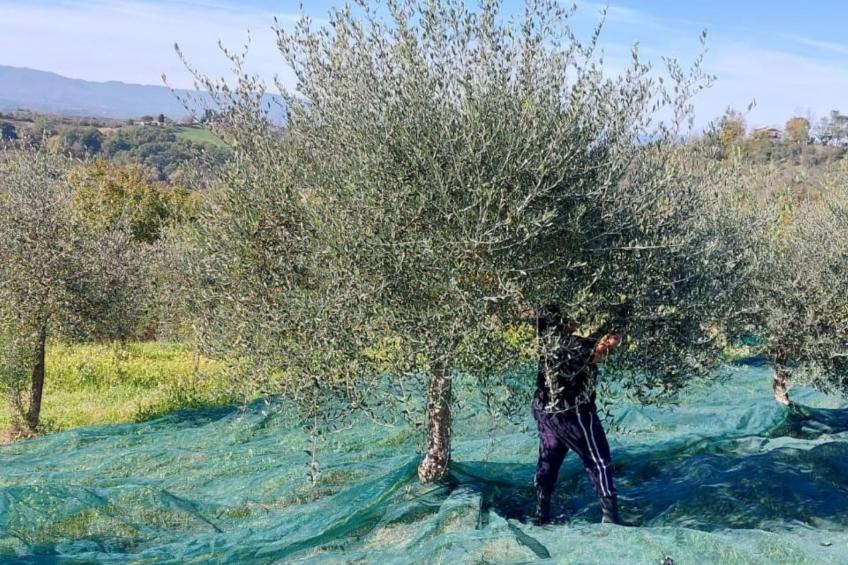 Wohnung in gemütlichem kleinen Bauernhaus - foto 49