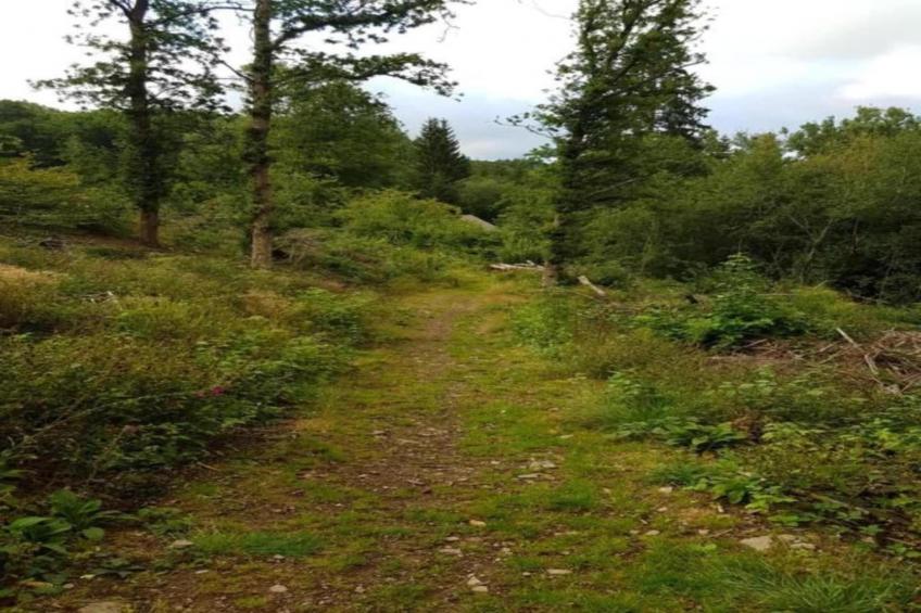 Villapark De Weerribben - foto 39