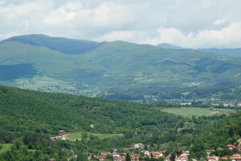 Nonno Raoul - foto 37