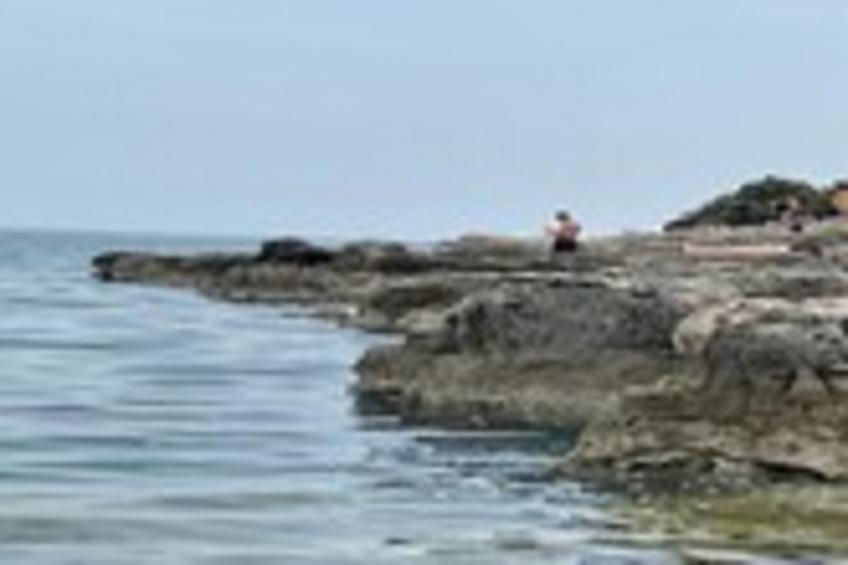 Barbariga Beach Paradise 1 - foto 26