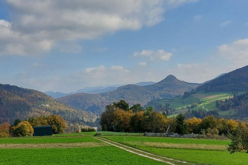 Giselas Ruheplatz - foto 17