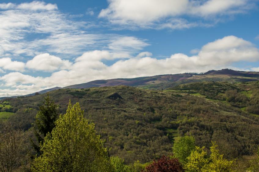 mit Wasserblick - foto 19