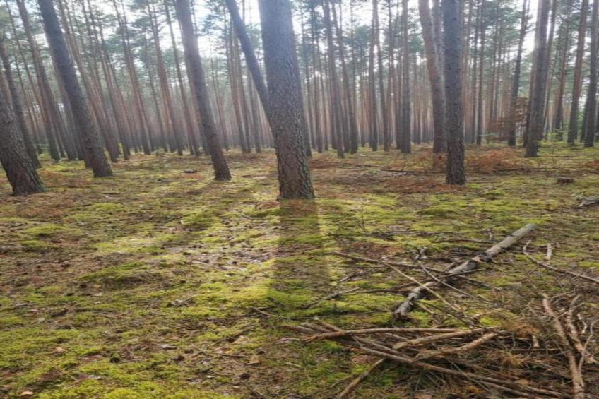 Holiday home Maryna - foto 33