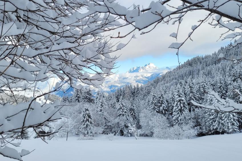 Chalet "Ecureuil" in den Portes du Soleil im Wallis - foto 32