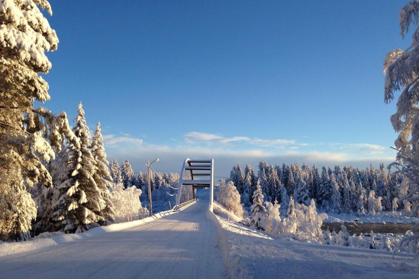 mit Garten, Grill und Terrasse - foto 27