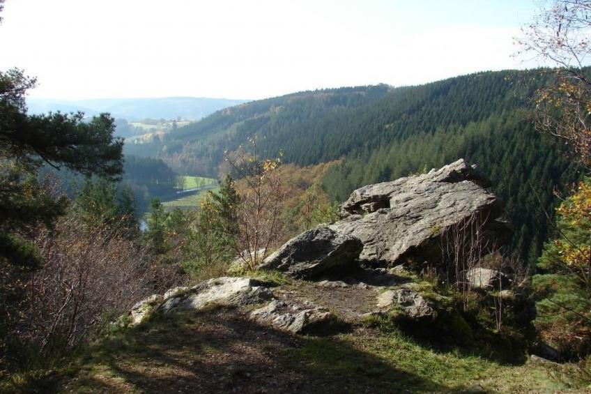 Snowview Lodge - foto 23