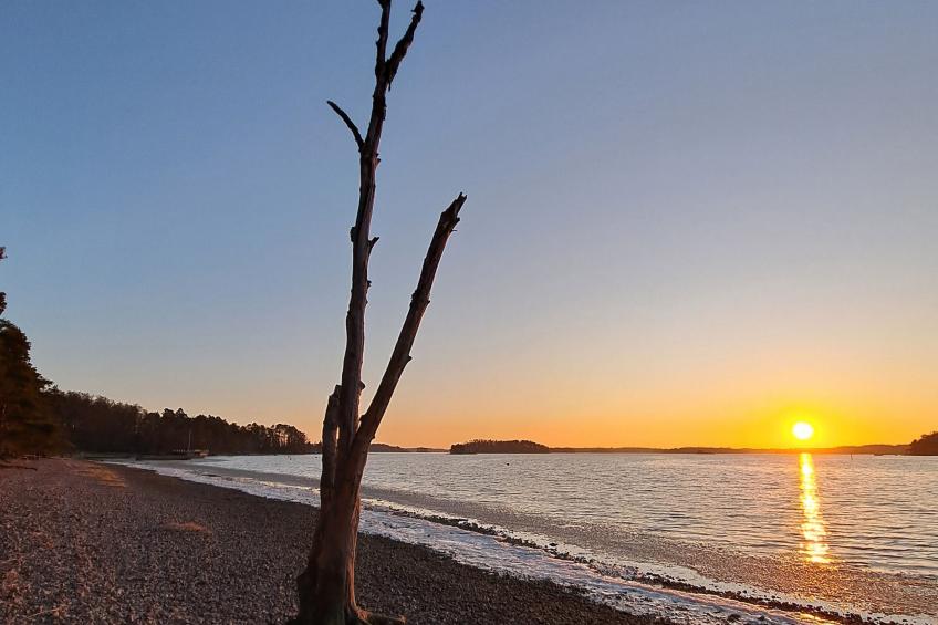 Villa kallahti beach view helsinki - foto 47