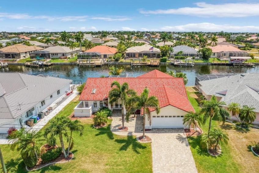 Tropical Palms - hier sind die Momente anders als sonst