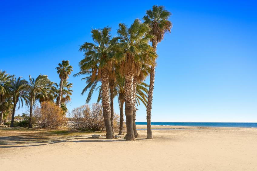 Cambrils Park B - foto 17