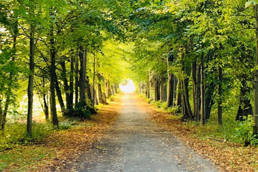 Schaalsee - Auszeit - foto 37