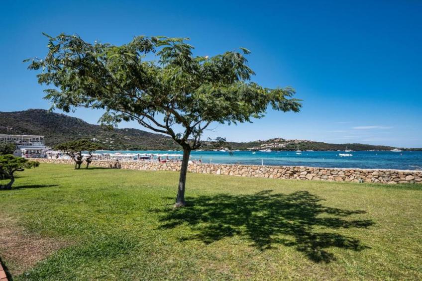 Mono 2 Pax - foto 28