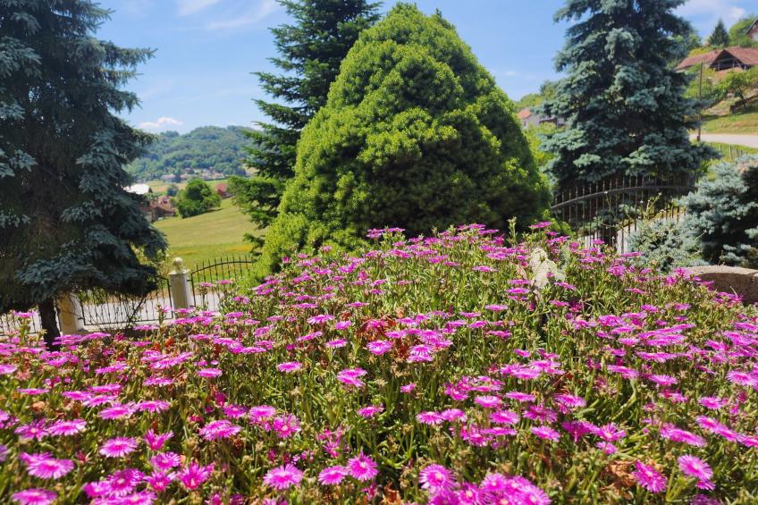 Villa Spa Magic - foto 33