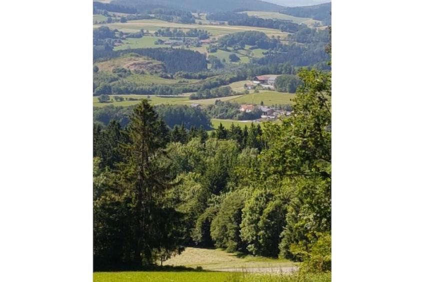 331008 - foto 39