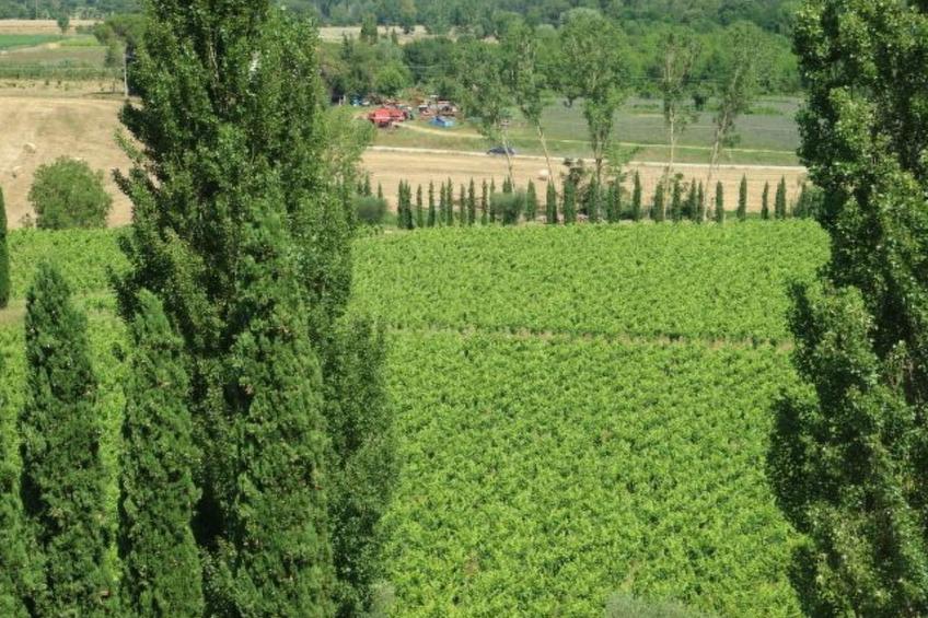 Studio 2 px - foto 6