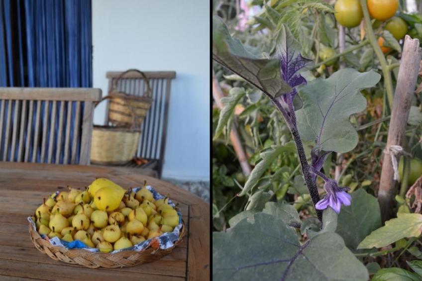 Su Sole de Barega - foto 18