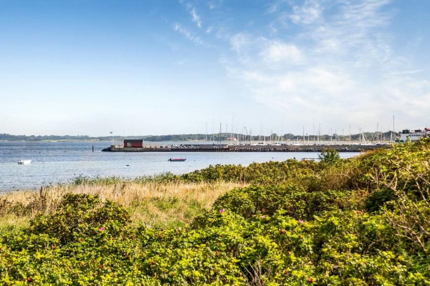 "Varma" - 25m from the sea in Sealand - foto 37