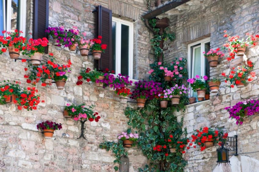 Il Poggio Degli Olivi Superior 2-room 2 - foto 22