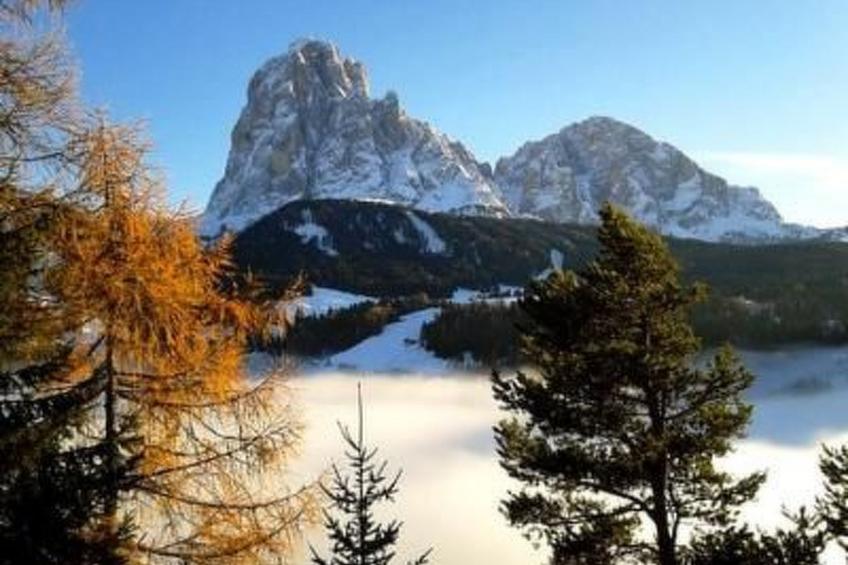 Cesa Vedla DOLOMITES - foto 33