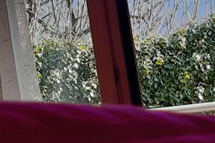 Casa Padronale nähe Arco - foto 20