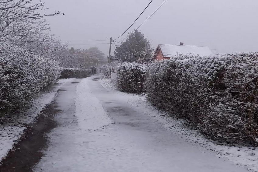 Holiday Home Paunovaca - Two Bedroom Holiday Home - foto 40