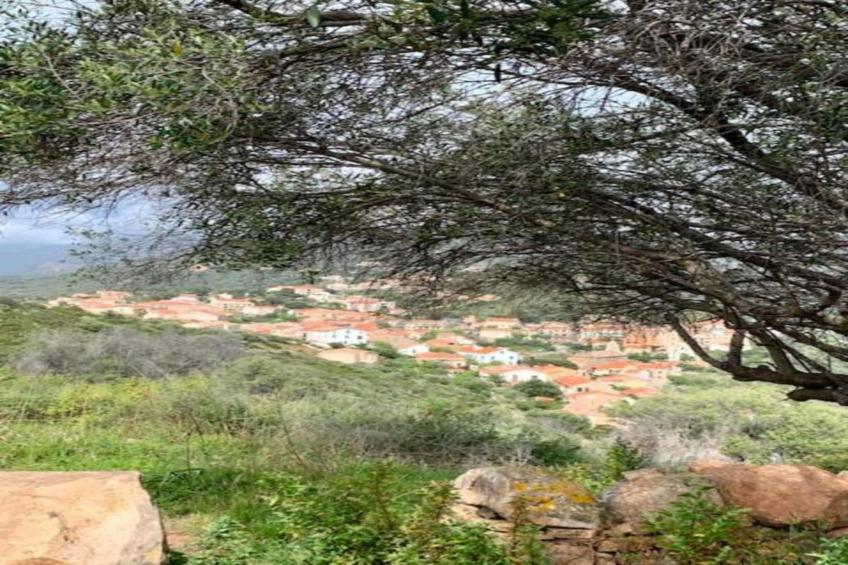 Les Nereides II - foto 33