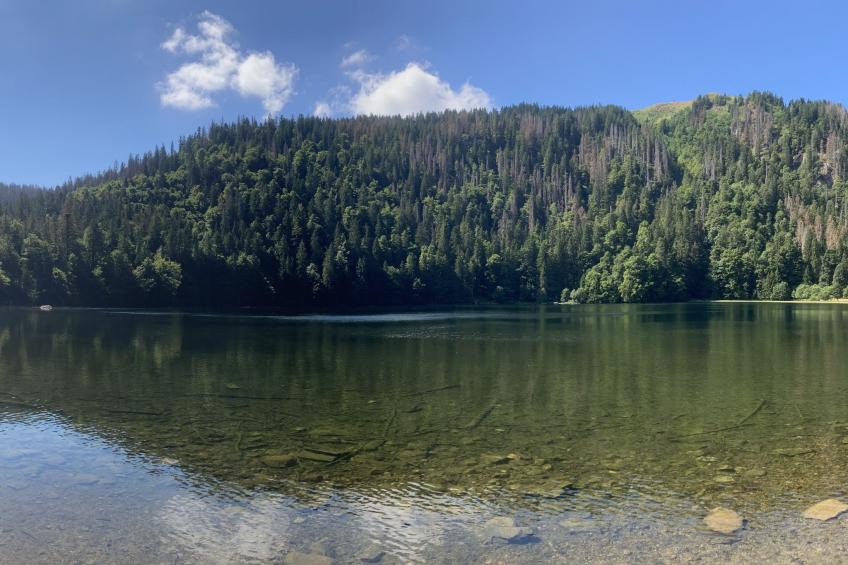 Black Forest Hideaway - foto 39