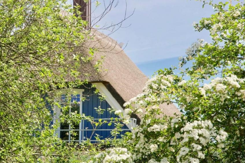 Haus Meerblau - foto 30