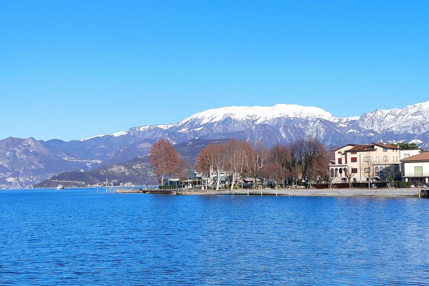 Il Castagneto - foto 105