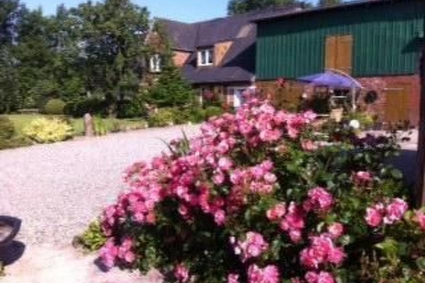 Toms Hütte in Bohmstedt - foto 14